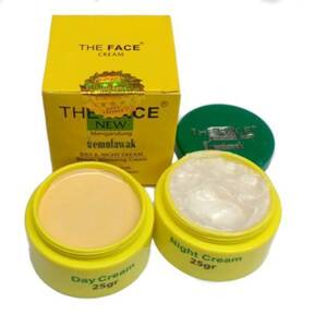 CEK BPOM The Face Temulawak Day & Night Cream